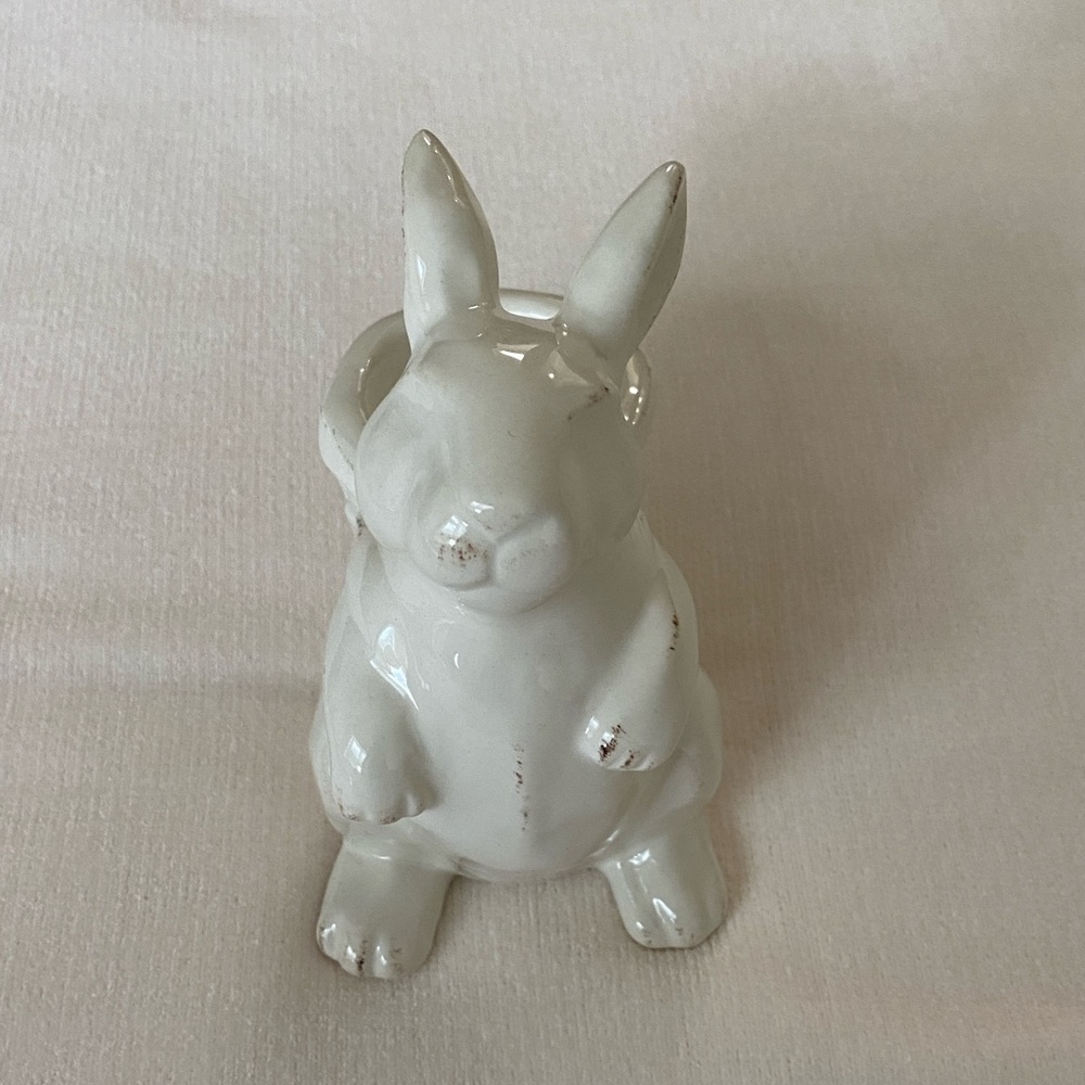 World market rabbit